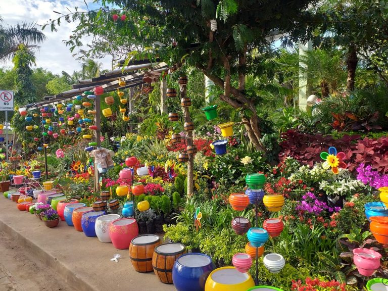 Catarina, un paraíso terrenal