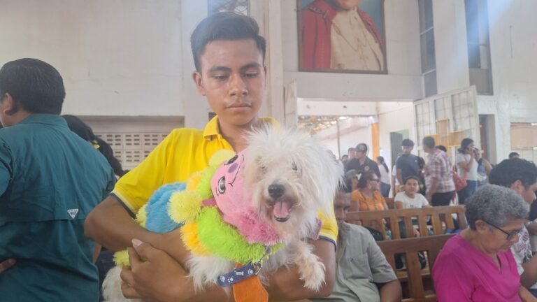 San Lázaro en Masaya: Tradición, Fe y Devoción Animal