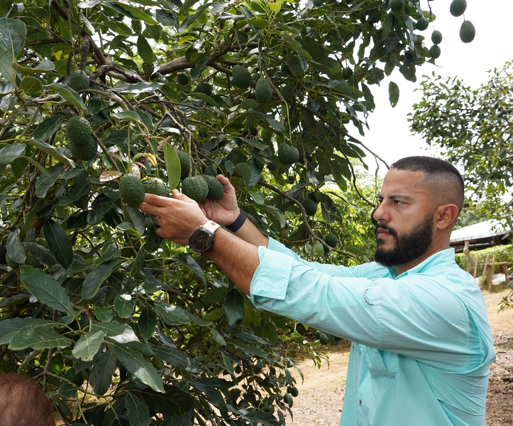 Farid Al Azar rcg71.com