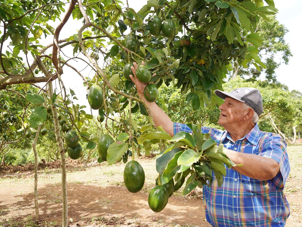 Marlan Arevalo rcg71.com