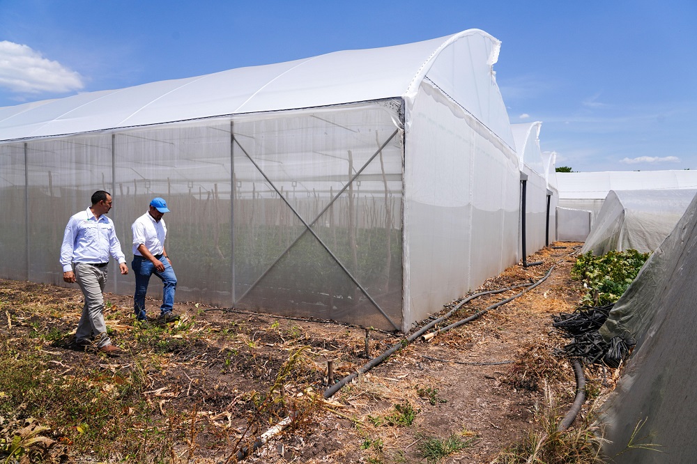 DSC00215 min rcg71.com