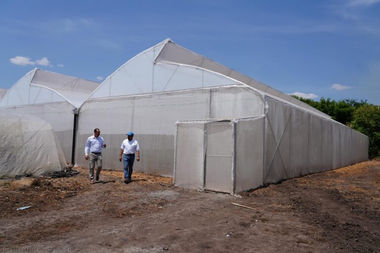 Walmart  invierte en el futuro agrícola de Nicaragua con la donación de dos invernaderos a productores locales