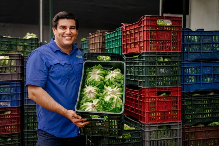 Vegyfrut, la pyme que impulsa el agro nicaragüense con propósito