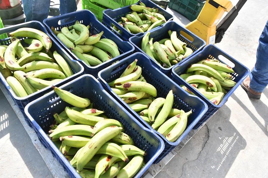 LGN 4151 min rcg71.com