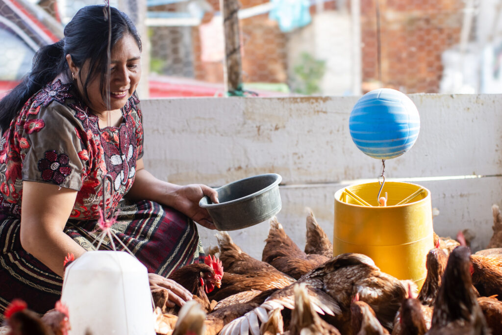 IMG 959581 rcg71.com