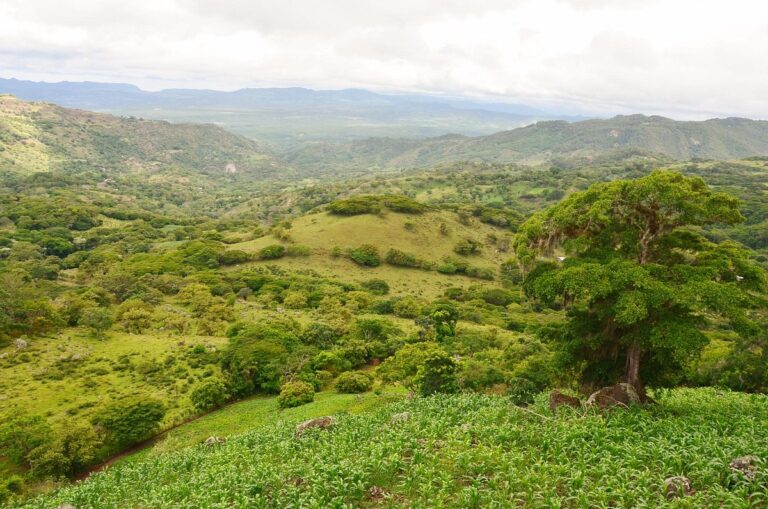 Turismo sostenible en Nicaragua: Los mejores eco-lodges y proyectos comunitarios 2026